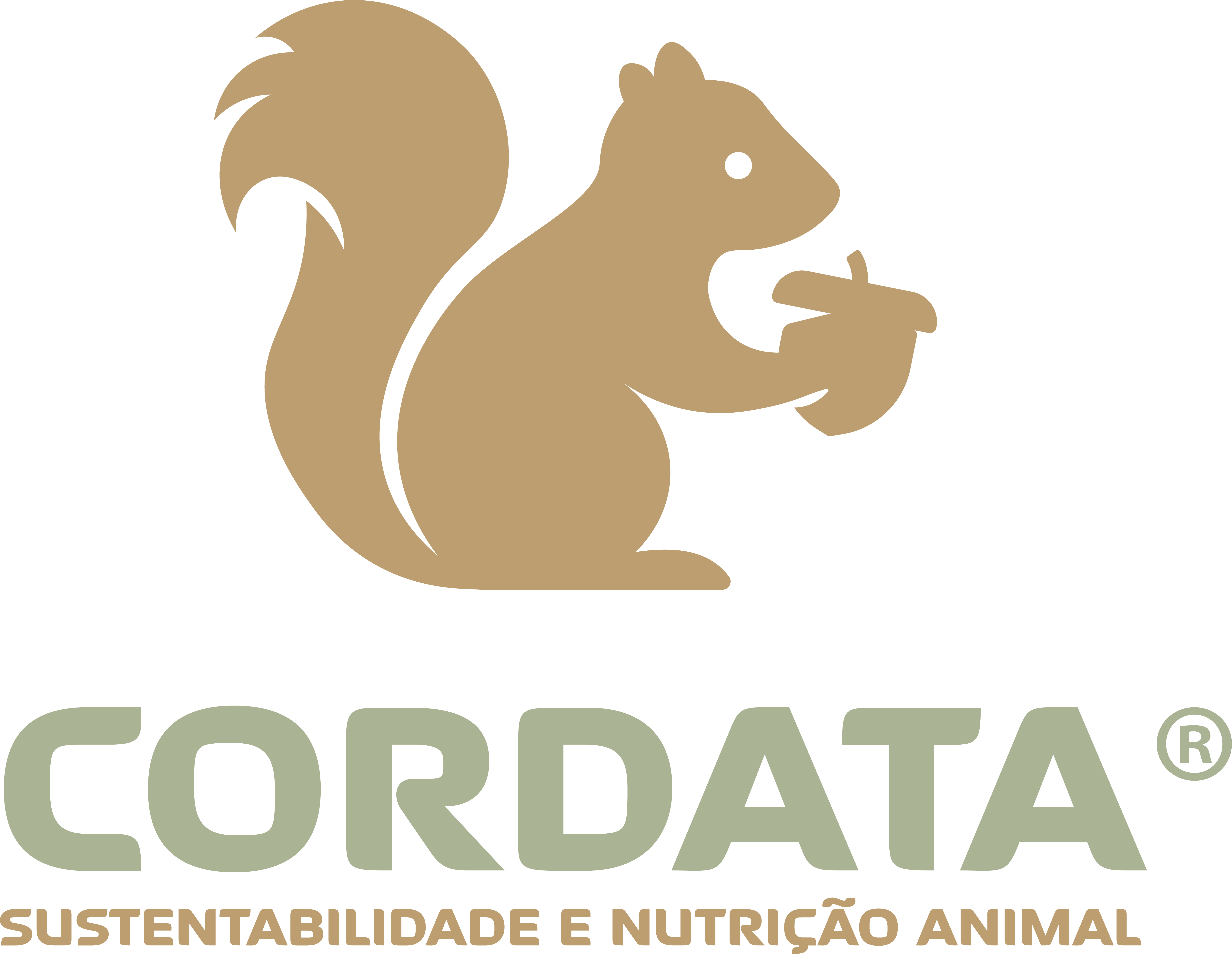 Cordata Weblink